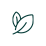 Catalyse